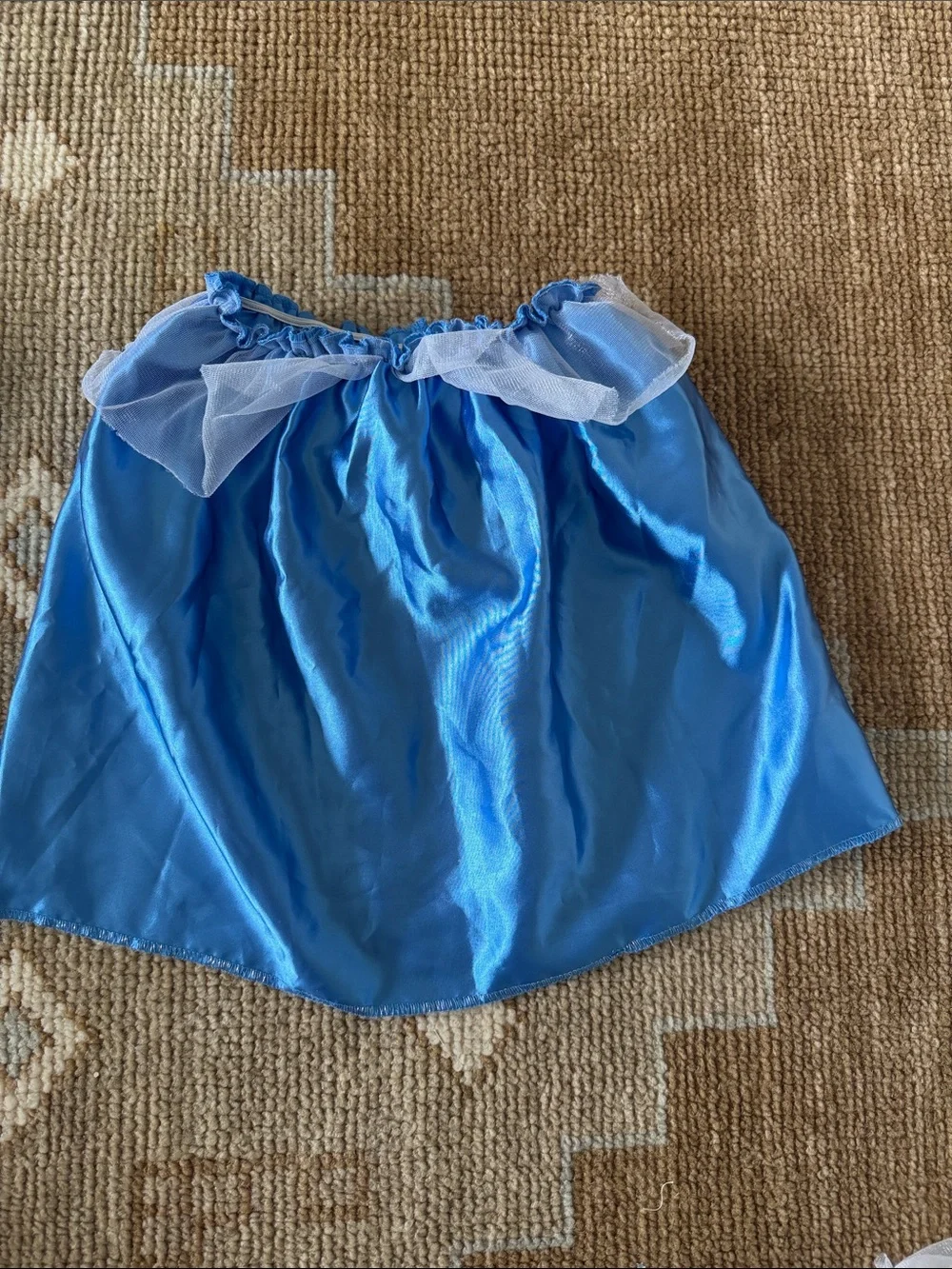 Cinderella Two Piece Costume